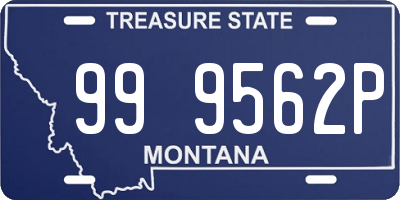 MT license plate 999562P