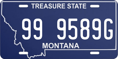 MT license plate 999589G