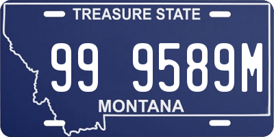 MT license plate 999589M