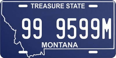 MT license plate 999599M