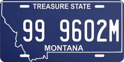 MT license plate 999602M