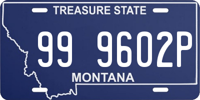 MT license plate 999602P