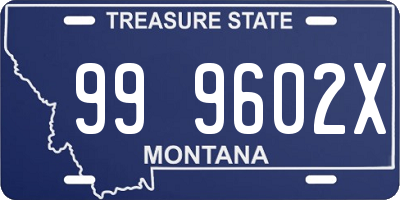 MT license plate 999602X