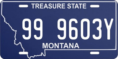 MT license plate 999603Y