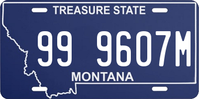 MT license plate 999607M