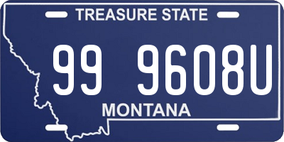 MT license plate 999608U