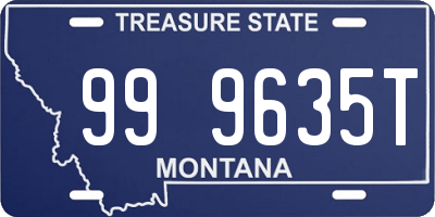 MT license plate 999635T