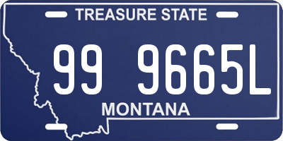 MT license plate 999665L