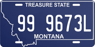 MT license plate 999673L