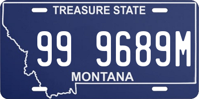 MT license plate 999689M