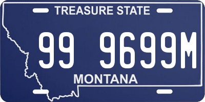 MT license plate 999699M