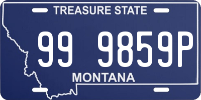 MT license plate 999859P