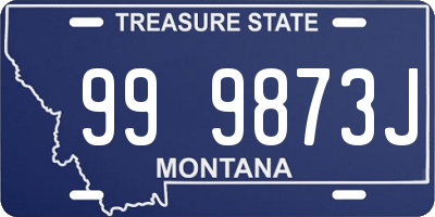 MT license plate 999873J