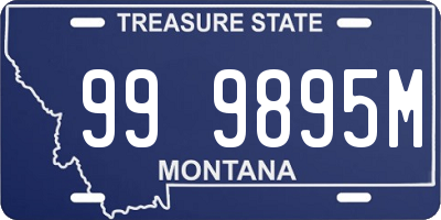 MT license plate 999895M