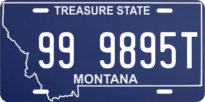 MT license plate 999895T