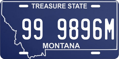 MT license plate 999896M