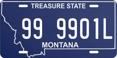 MT license plate 999901L