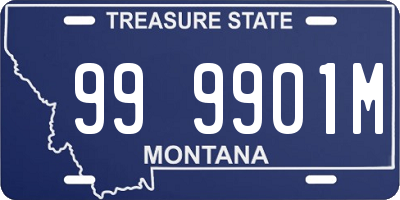 MT license plate 999901M