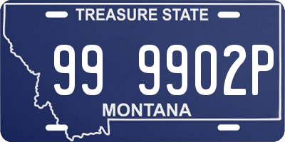 MT license plate 999902P