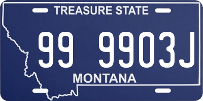 MT license plate 999903J