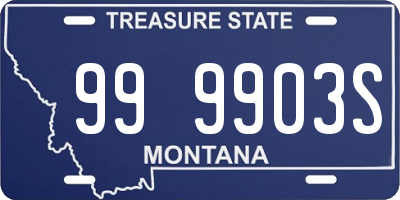 MT license plate 999903S