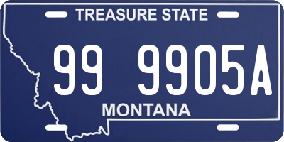 MT license plate 999905A