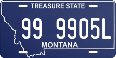 MT license plate 999905L