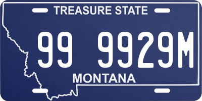 MT license plate 999929M