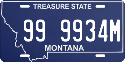 MT license plate 999934M