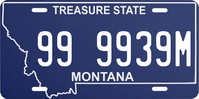 MT license plate 999939M