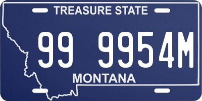 MT license plate 999954M