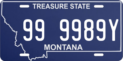 MT license plate 999989Y