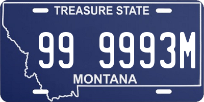 MT license plate 999993M