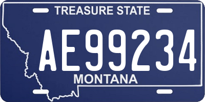 MT license plate AE99234