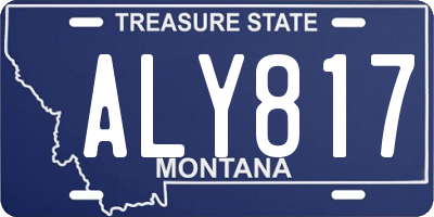 MT license plate ALY817