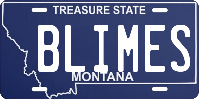 MT license plate BLIMES