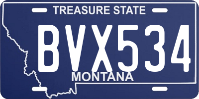 MT license plate BVX534