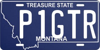 MT license plate P1GTR