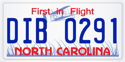 NC license plate DIB0291