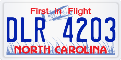 NC license plate DLR4203