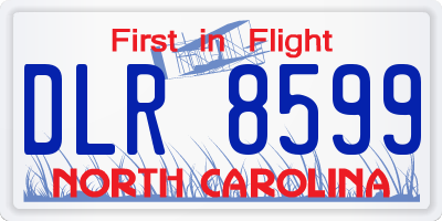 NC license plate DLR8599