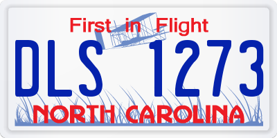 NC license plate DLS1273
