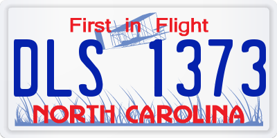 NC license plate DLS1373