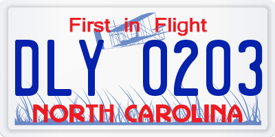 NC license plate DLY0203