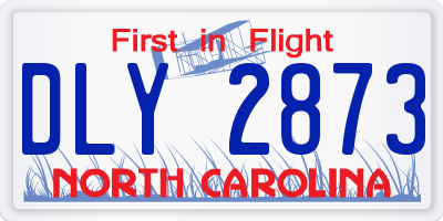 NC license plate DLY2873