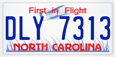 NC license plate DLY7313