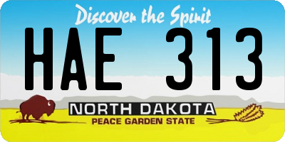 ND license plate HAE313