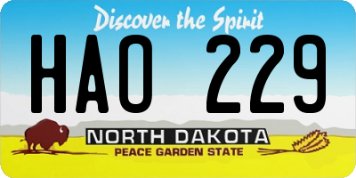 ND license plate HAO229