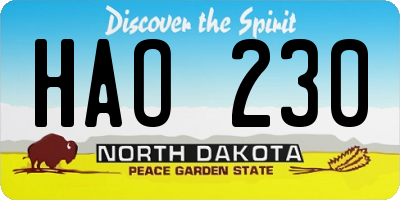 ND license plate HAO230