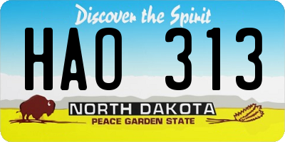 ND license plate HAO313